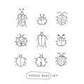 Big line hand drawn doodle set - insects, bugs