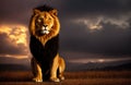 Big lion golden color epic portrait