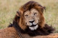 Big Lion Notch in Masai Mara