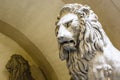 Big lion statue at Palazzo Vecchio, the town hall of Florence, Tuscany, Italy Royalty Free Stock Photo