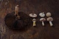 Big and little fresh forest champignon mushrooms on rustic wooden background. Autumn harvest, ketogenic diet, healthy organic food