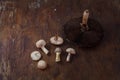 Big and little fresh forest champignon mushrooms on rustic wooden background. Autumn harvest, ketogenic diet, healthy organic food