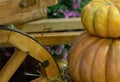 Big little pumpkin on each other close-up with copyspace on a wooden wheel background carts pattern