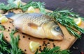 Big live carp crucian on a cutting board with rosemary branches.