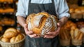 Big loaf of pread in the hands of local baker. Royalty Free Stock Photo