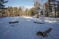 Log covered with white snow in pine forest in winter time Royalty Free Stock Photo