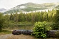 A big log in front of a lake, early morning fog in the distance fall trees and their reflections. Royalty Free Stock Photo