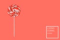 Big lollipop on solid pink background . Living coral theme - color of the year 2019