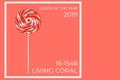 Big lollipop on solid pink background . Living coral theme - color of the year 2019