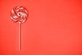 Big lollipop on solid pink background . Living coral theme - color of the year 2019