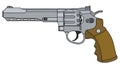Big long revolver Royalty Free Stock Photo