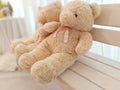 Big lover Teddy Bear put on wooden chesterfield Royalty Free Stock Photo