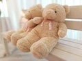 Big lover Teddy Bear put on wooden chesterfield Royalty Free Stock Photo