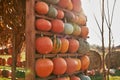 Big market stall with ripe pumpkins in sunny day. Royalty Free Stock Photo