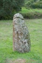 Big megalithic menhirs of sorgono , sardinia central - prenuragic Royalty Free Stock Photo