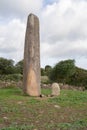 Big megalithic menhirs of sorgono , sardinia central - prenuragic Royalty Free Stock Photo