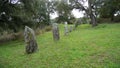 Big megalithic menhirs of sorgono , sardinia central - prenuragic Royalty Free Stock Photo