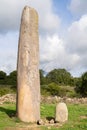 Big megalithic menhirs of sorgono , sardinia central - prenuragic Royalty Free Stock Photo