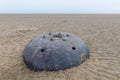 Big metal world war underwater contact mine on a beach in lancashire