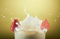 Big milk splash Royalty Free Stock Photo