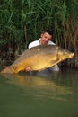 Big mirror carp