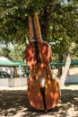 Harmony in Nature: Double Bass at the Jazz Festival