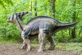 Big model of prehistoric dinosaur parasaurolophus in live size. Realistic scenery in green forest