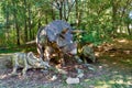 Prehistoric dinosaur triceratops in nature