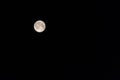 Big moon in its full phase with detailed craters visible on its edges, in a black background. Royalty Free Stock Photo