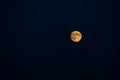 Big moon in its full phase with detailed craters visible on its edges, all in a black background Royalty Free Stock Photo