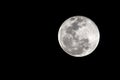 Big moon in its full phase with detailed craters visible on its edges, all in a black background, taken with large newtonian teles Royalty Free Stock Photo