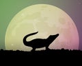 Big moon in the night sky. Silhouette of a crocodile. Sky c glow green and pink. Royalty Free Stock Photo