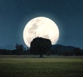 Big moon and starry glowing over lonely tree on agricultural field in countryside Royalty Free Stock Photo