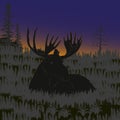 The big moose lying in the grass, the forest, black silhouettes, sunset, sunrise Royalty Free Stock Photo