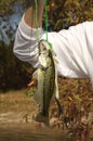 Big Mouth Bass on Line Royalty Free Stock Photo