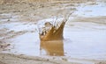 Big mud splash Royalty Free Stock Photo