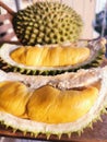 Big Musang King Durian in Malaysia Royalty Free Stock Photo