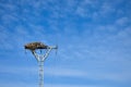 big nest made with branches of trees at the top of an electrical tower of high voltage that conducts electricity to houses in a Royalty Free Stock Photo