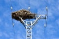 bird nest made with branches of trees at the top of an electrical tower of high voltage that conducts electricity to houses in a Royalty Free Stock Photo