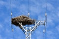 big nest made with branches of trees at the top of an electrical tower of high voltage that conducts electricity to houses in a Royalty Free Stock Photo