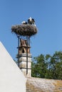 A big nest of Stork birds on top of the roof in Austria Royalty Free Stock Photo