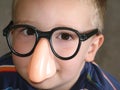 Big Nose Glasses on Little Boy Royalty Free Stock Photo