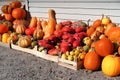 Big number of orange flat pumpkins. Organic agriculture food market. Food market. pile of colorful pumpkins on street