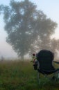 Big oak in the fog and picnic chair with rose