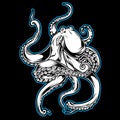 Big Octopus Drawing blackBig Octopus Outline Blue Drawing on black background Vector illustrtion 17 Royalty Free Stock Photo