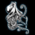 Big Octopus Drawing blackBig Octopus Outline Blue Drawing on black background Vector illustrtion 20 Royalty Free Stock Photo