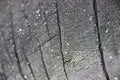 Big old car tire black background with cracks Royalty Free Stock Photo
