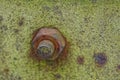 Old nut on a rusty bolt on a green iron wall Royalty Free Stock Photo