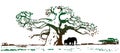 Big old oak tree under which a family of elephants grazes