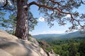 Big old pine tree growing on rocky mountain top under blue sky on summer mountain view background Royalty Free Stock Photo